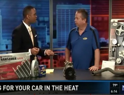 Cottman of Columbia – Extreme Heat and Your Car – ON AIR INTERVIEW – News19 on WLTX-TV